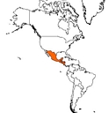 Cattleya aurantiaca (localisation)