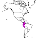 Masdevallia nidifica (localisation)