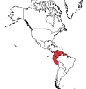 Rodriguezia secunda (localisation)