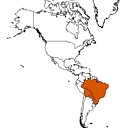 Sophronitis cernua (localisation)