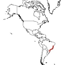 Sophronitis coccinea (localisation)